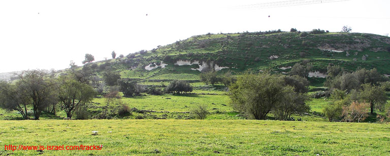 Вид на холм Тель Цафит