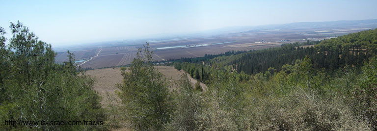 Вид с леса Бальфур на Эмек Изреэль (Изреэлевскую долину)